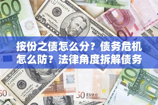 武汉按份之债怎么分？债务危机怎么防？法律角度拆解债务分配与风险自保指南