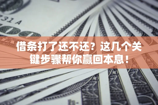 武汉借条打了还不还？这几个关键步骤帮你赢回本息！