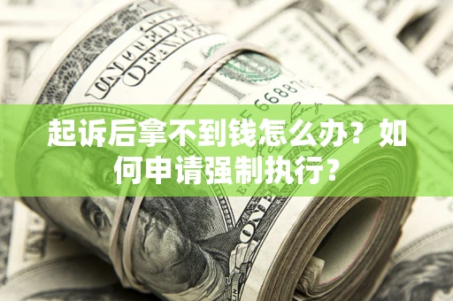 武汉起诉后拿不到钱怎么办？如何申请强制执行？