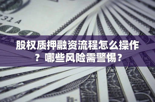 武汉股权质押融资流程怎么操作？哪些风险需警惕？