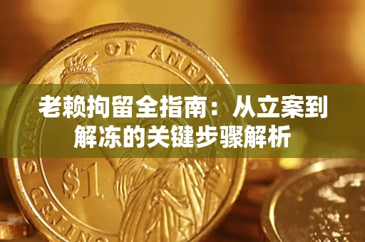 武汉老赖拘留全指南：从立案到解冻的关键步骤解析