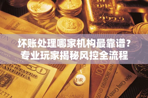 武汉坏账处理哪家机构最靠谱？专业玩家揭秘风控全流程