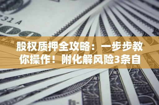 武汉股权质押全攻略：一步步教你操作！附化解风险3条自救法则