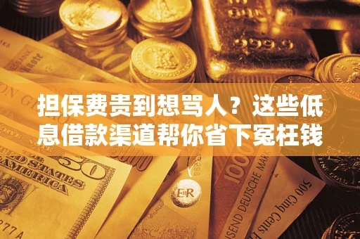 武汉担保费贵到想骂人？这些低息借款渠道帮你省下冤枉钱