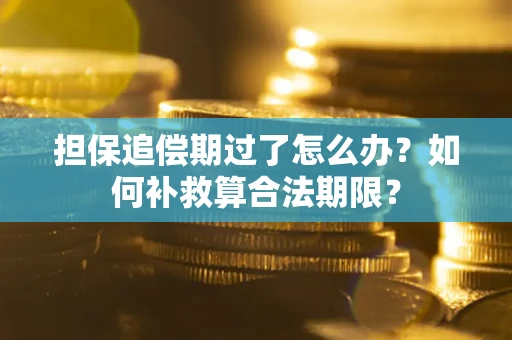 武汉担保追偿期过了怎么办？如何补救算合法期限？