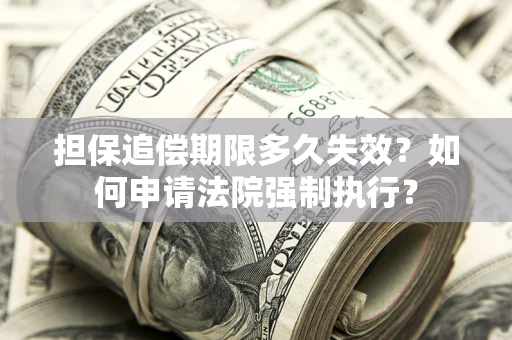 武汉担保追偿期限多久失效？如何申请法院强制执行？