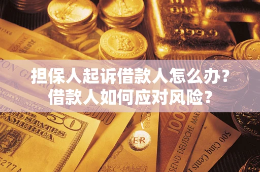 武汉担保人起诉借款人怎么办？借款人如何应对风险？
