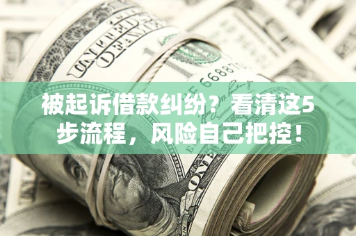 武汉被起诉借款纠纷？看清这5步流程，风险自己把控！