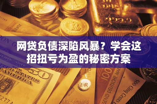 武汉网贷负债深陷风暴？学会这招扭亏为盈的秘密方案