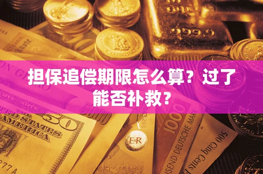 武汉担保追偿期限怎么算？过了能否补救？